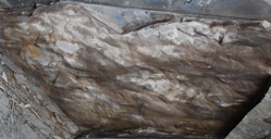 BEWS Flute casts and burrows on base of cross-laminated turbidite sandstoneresized.jpg